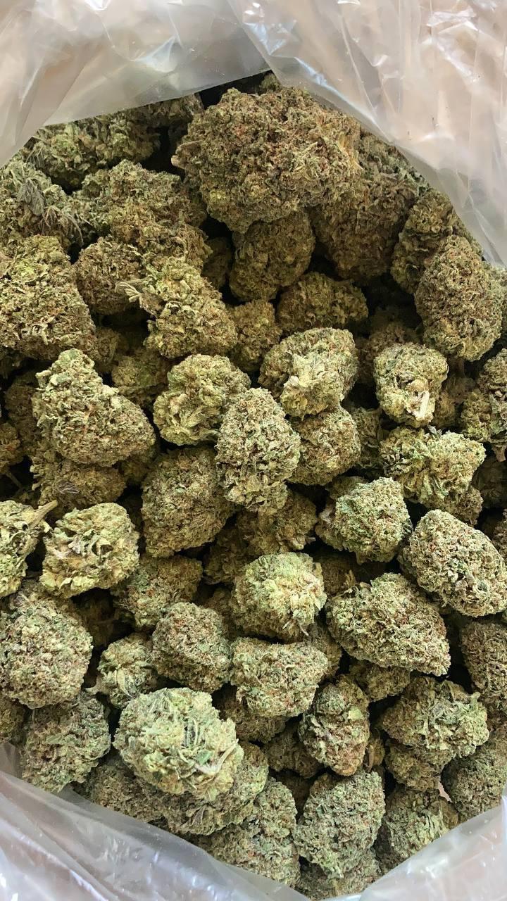 Blue Dream strain hybrid (10g)