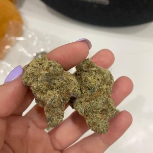 Lemon Haze Hybrid (5g)